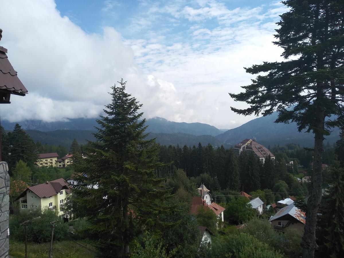 Villa Milcov Predeal Esterno foto